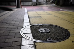 カメレオンマンホール