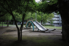 公園のカタツムリ