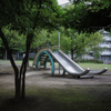 公園のカタツムリ