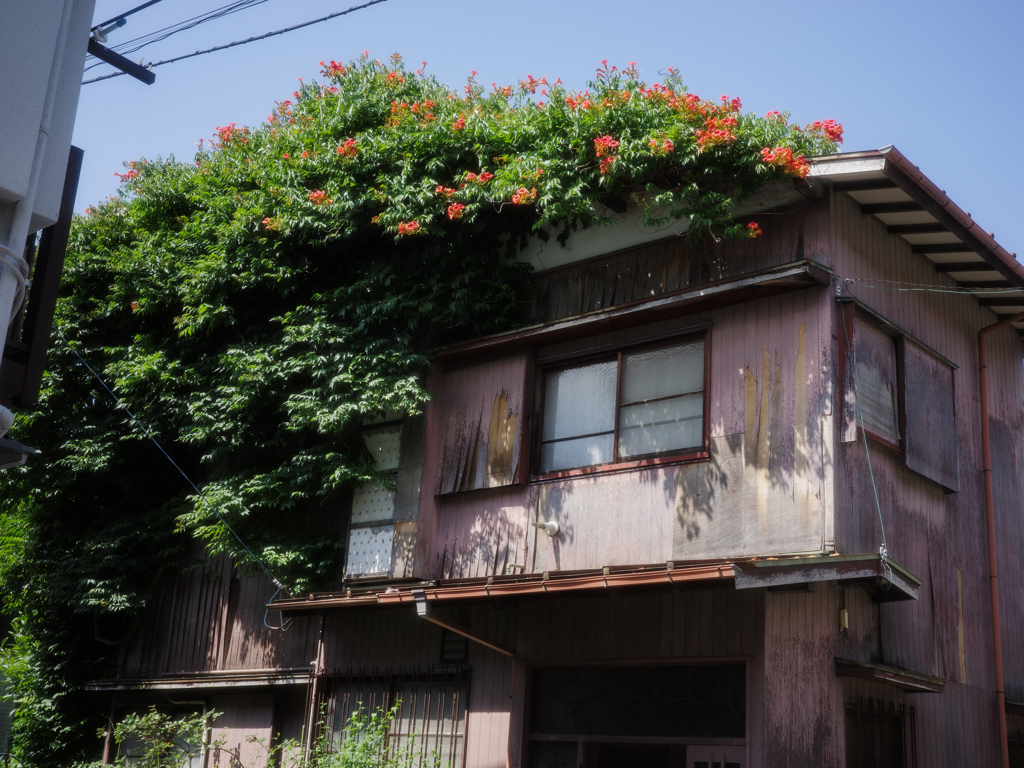 花冠の家