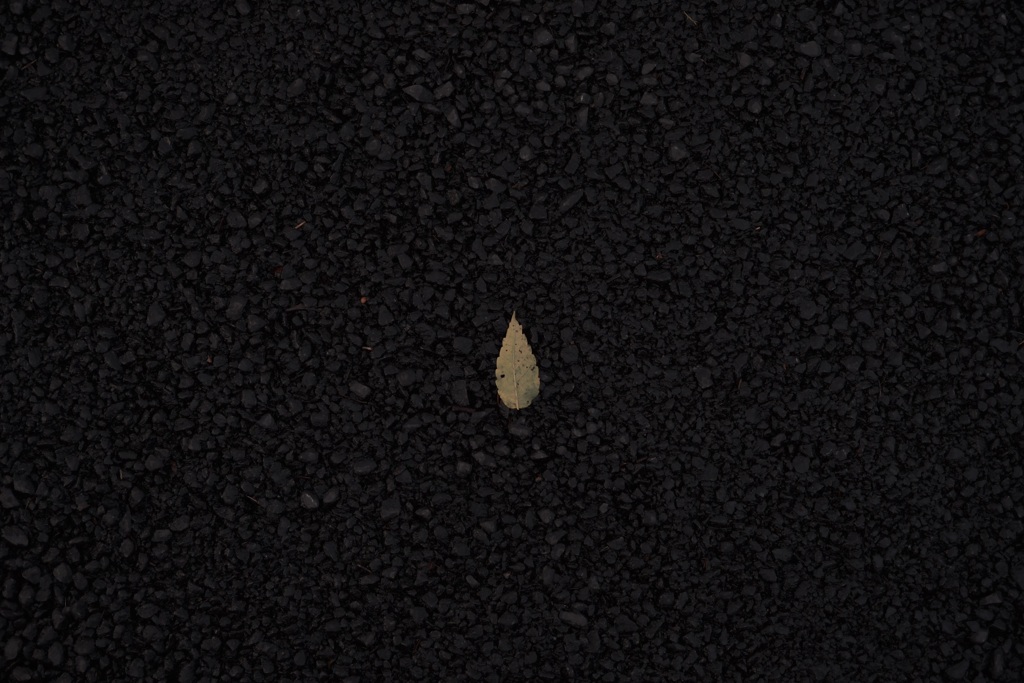 ひとひら