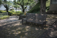 大樹の陰