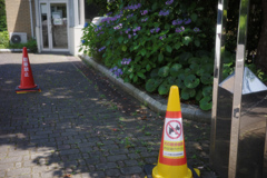 のっぴきならない関係