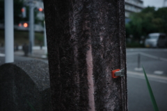 リニューアル