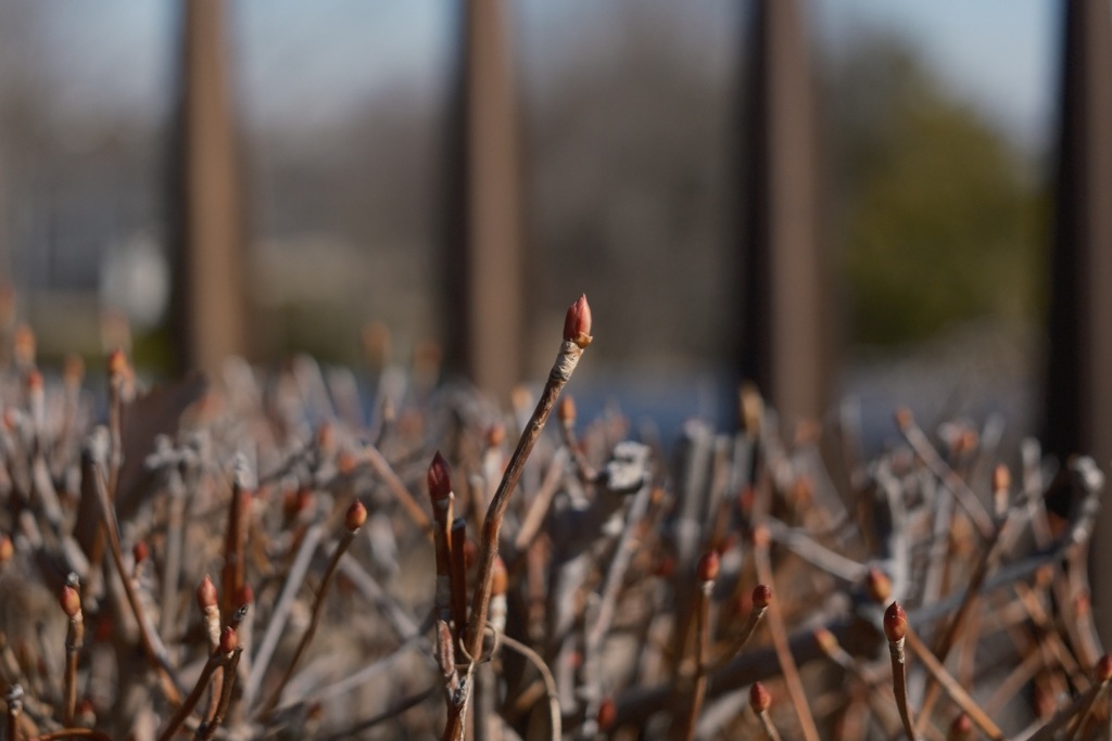 小さなともし火