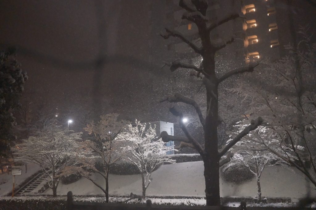 夜の雪