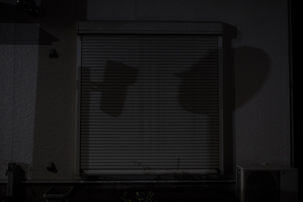 夜の見つめ合い