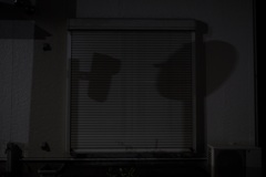 夜の見つめ合い