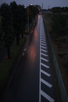 雨上がりの灯り
