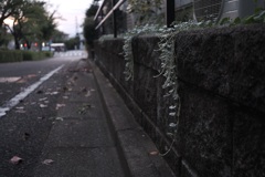垂れる