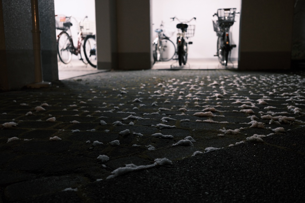 ユキ ツモル ナイ