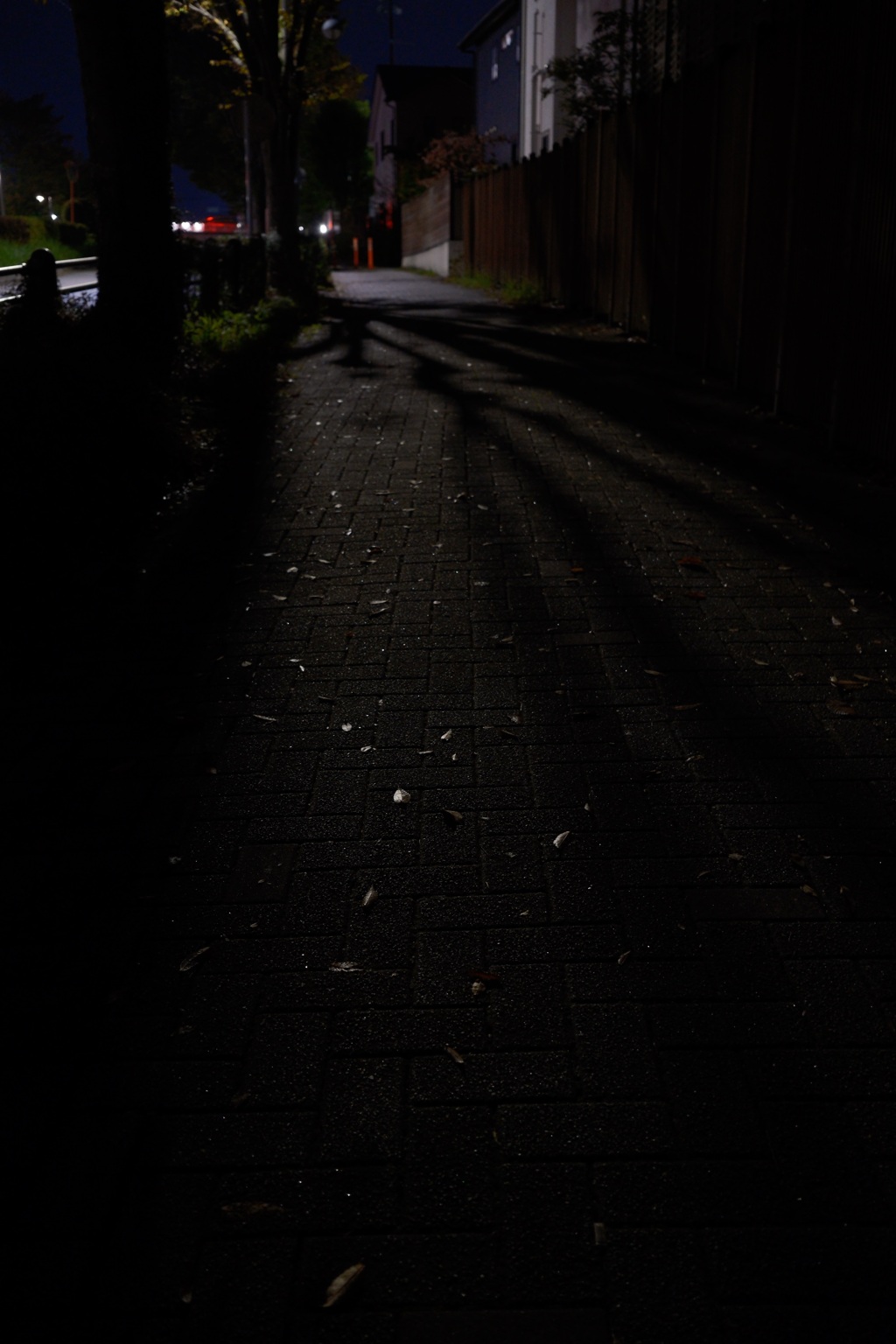 夜木に帰る