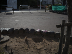 公園の忘れ物