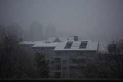 窓の外は雪