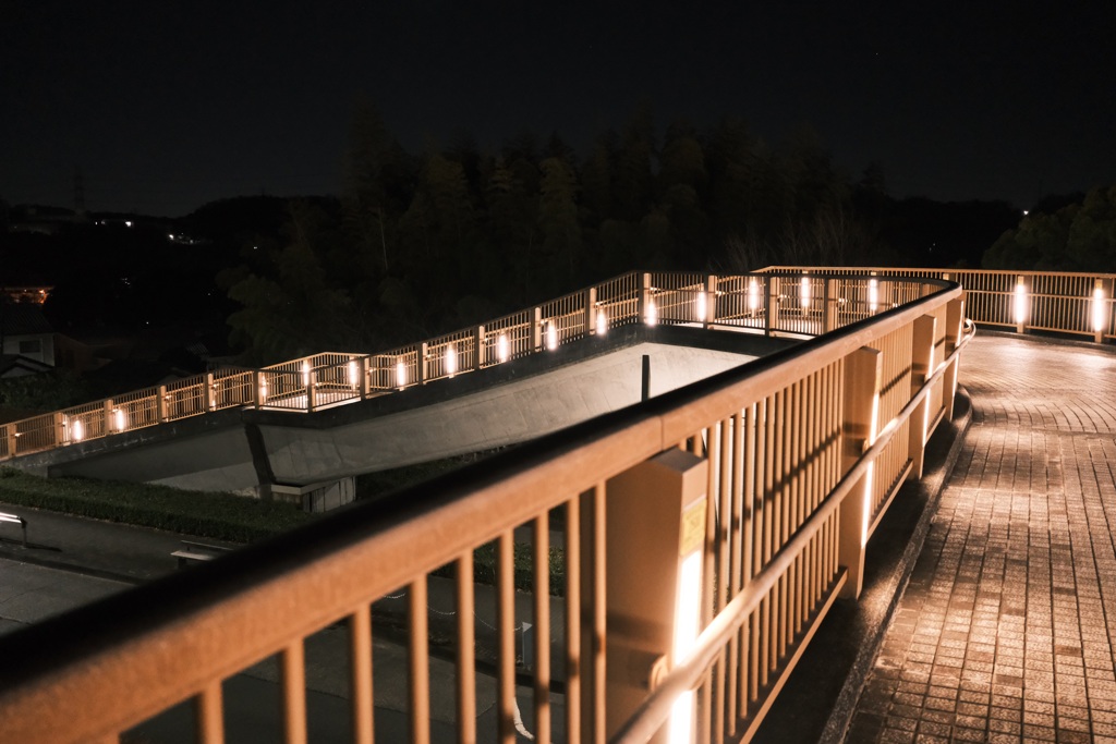 夜の堂ヶ谷戸橋