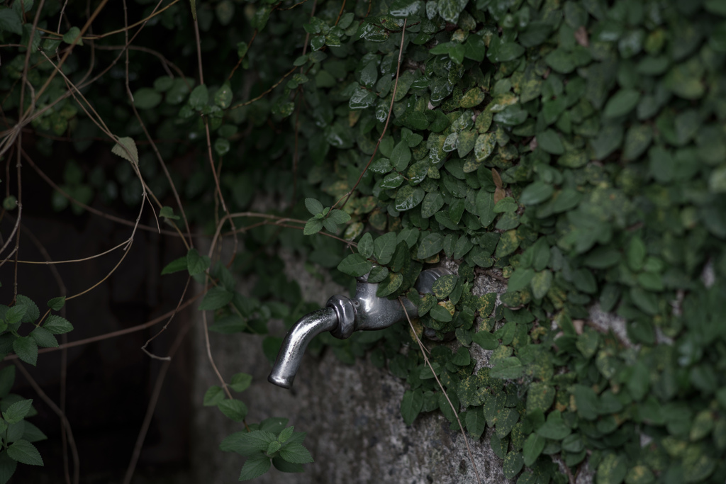 湧水の出る蛇口
