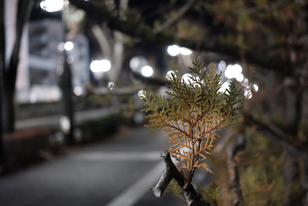 グラデーション