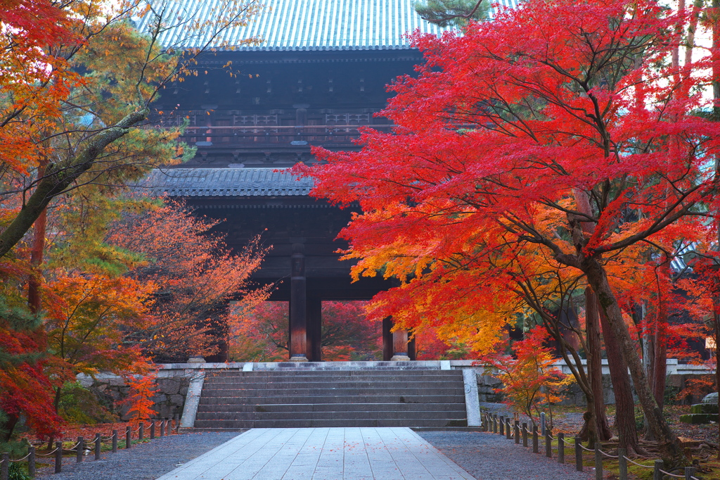 南禅寺南大門の紅葉