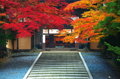 金剛峰寺山門の紅葉