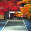 金剛峰寺山門の紅葉