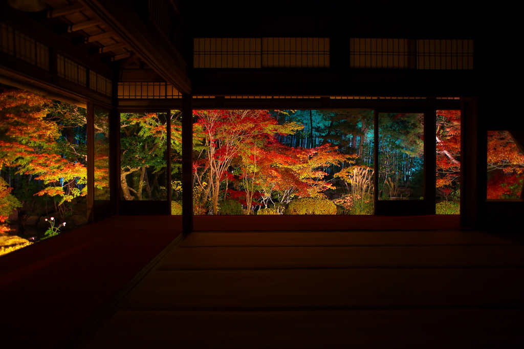 南禅寺天授庵の紅葉