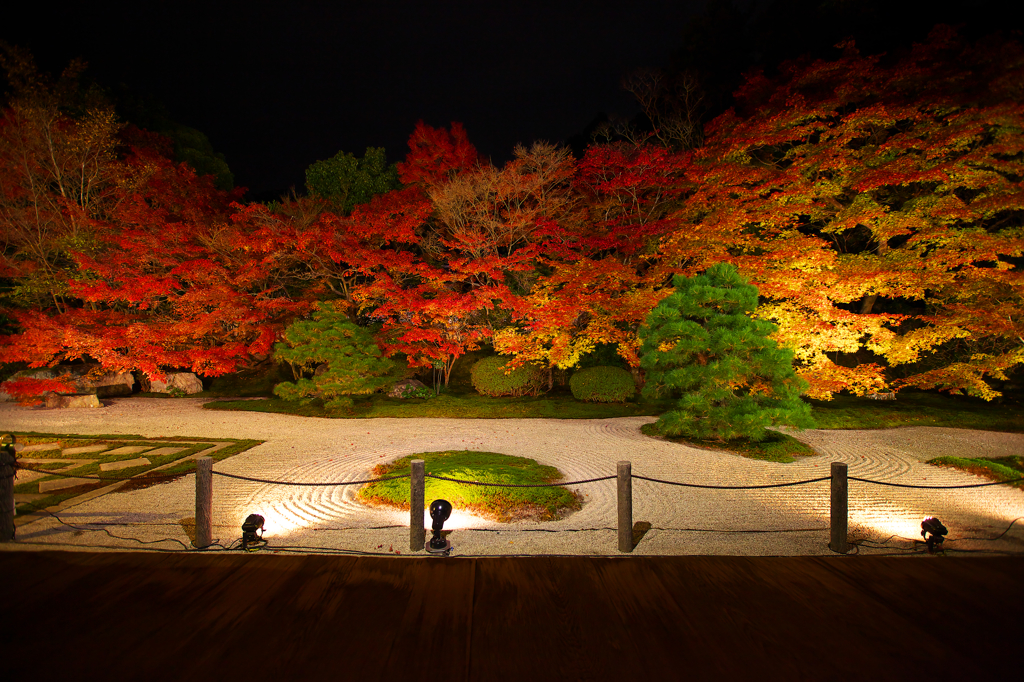 南禅寺天授庵の紅葉