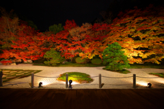 南禅寺天授庵の紅葉