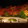 南禅寺天授庵の紅葉