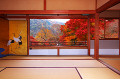 瑠璃光院の紅葉