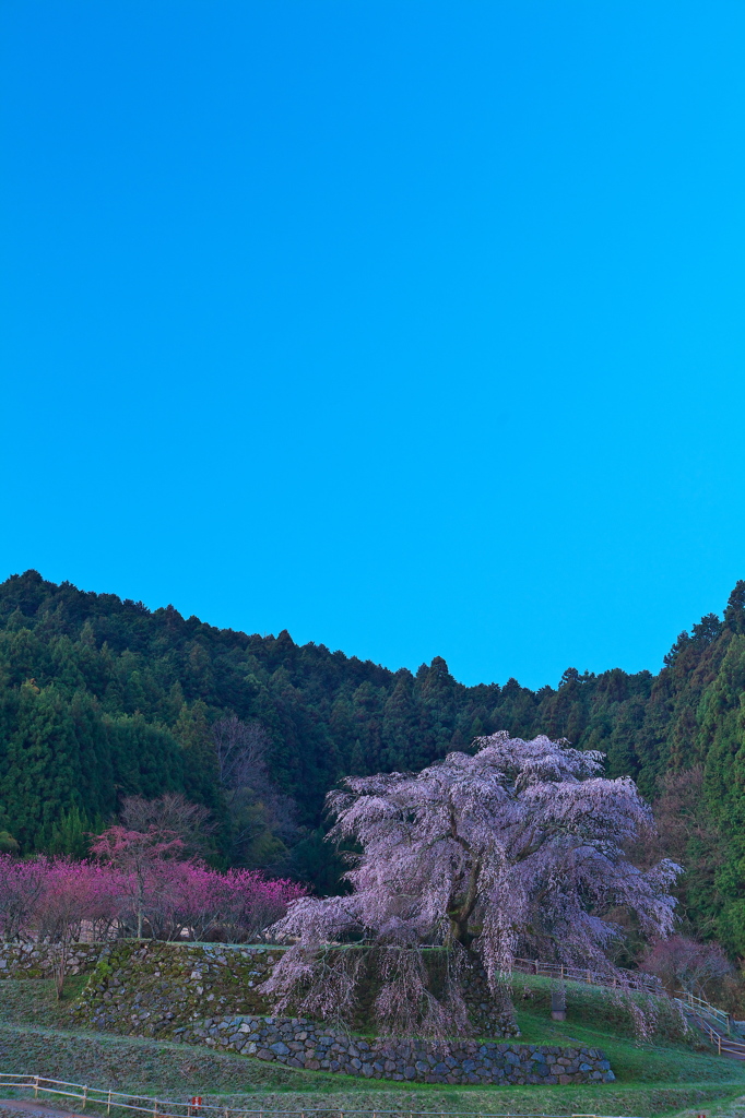 孤高