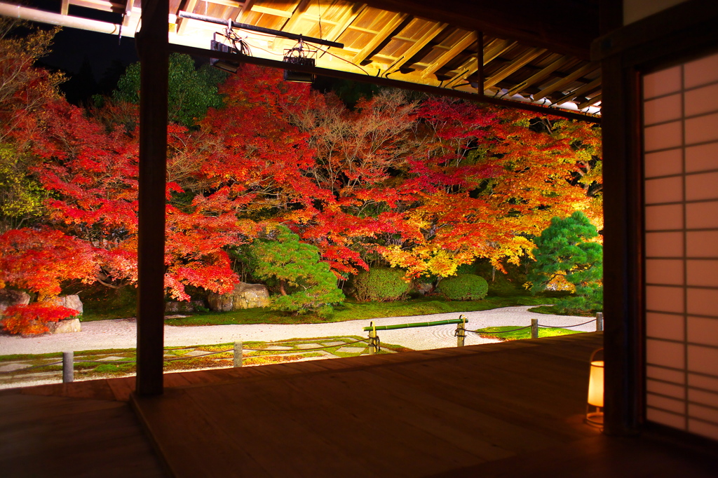 南禅寺天授庵の紅葉