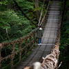 福井のかずら橋