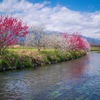 犀川（さいがわ）