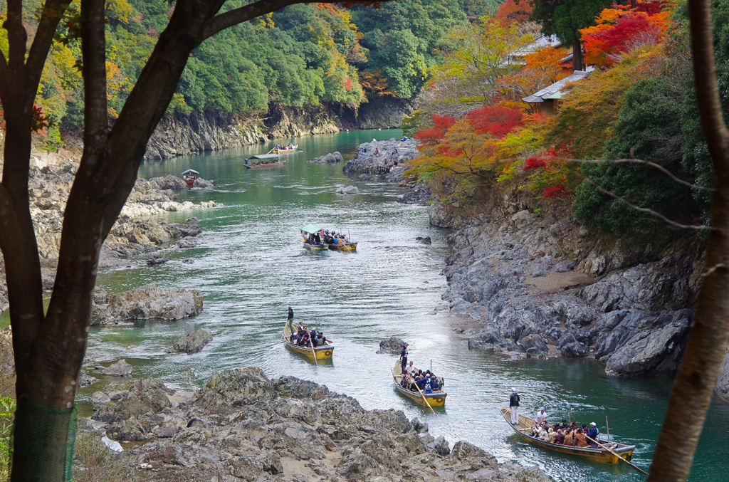 11月京都嵐山
