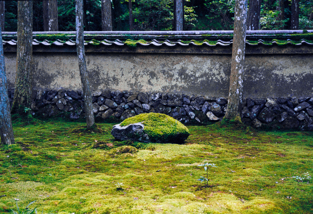 苔寺