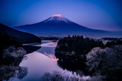 夕景富士