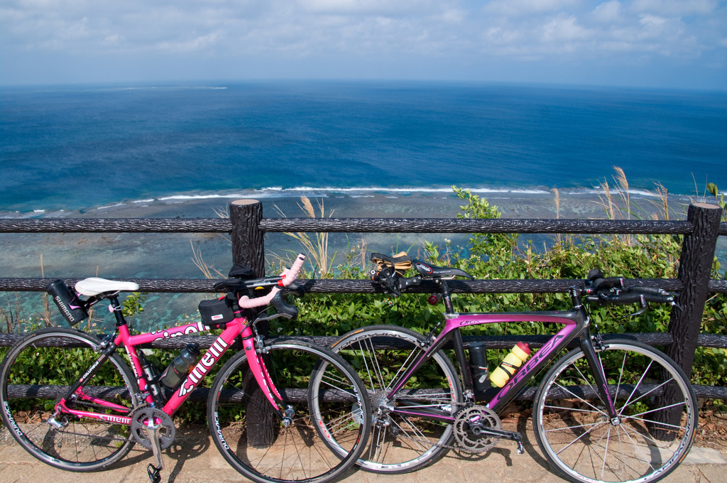 自転車で岬から