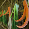 干し野菜