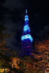 秋の東京タワー夜景