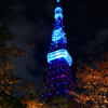 秋の東京タワー夜景