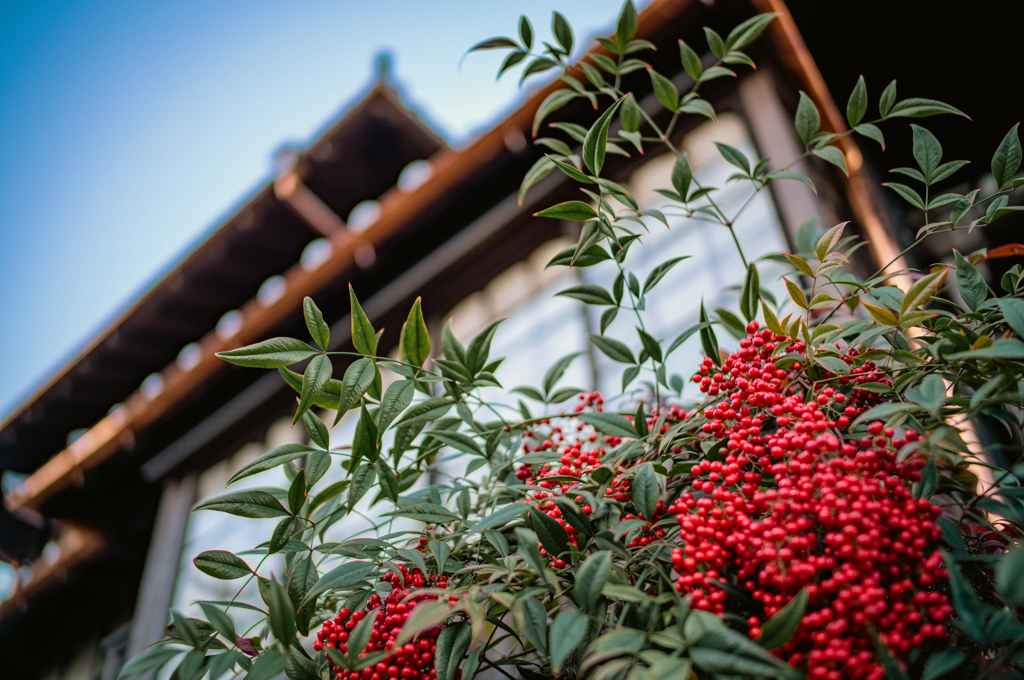 １２月京都