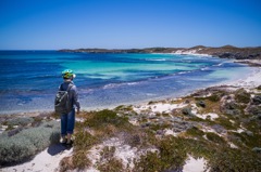 ロットネスト島