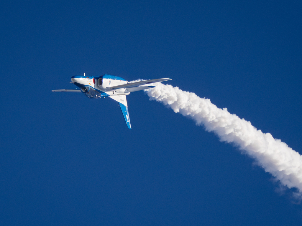 Inverted Flight