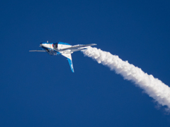 Inverted Flight