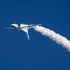 Inverted Flight
