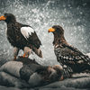 Eagles