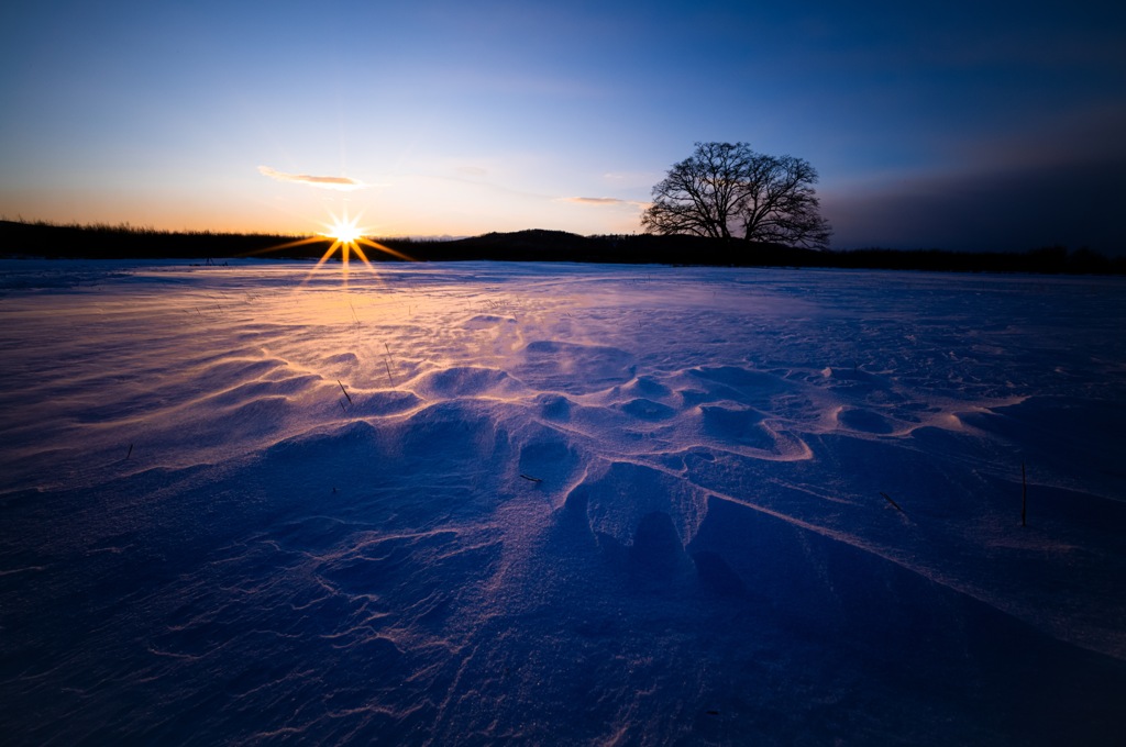 Snow Field