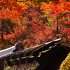 11月京都嵐山