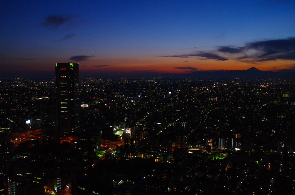 都庁からの夕景