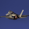 BAT コウモリ F-35B